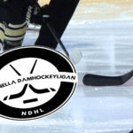 Detaljbild-NDHL