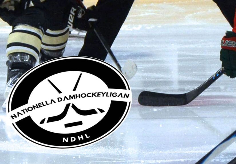 Detaljbild-NDHL