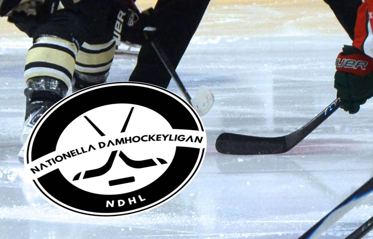 Detaljbild-NDHL